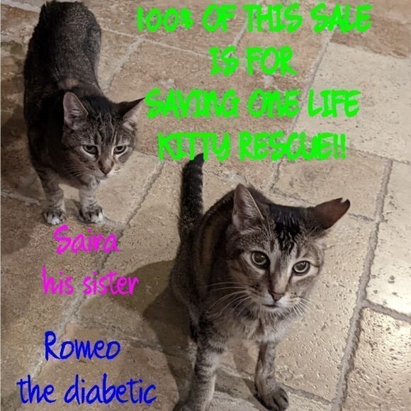 Flora by Flora Nikrooz Sleepwear, Tee Shirt Pajama Set For Kitty Rescue! - Picture 9 of 10